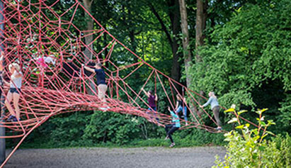 students climbing on ropes