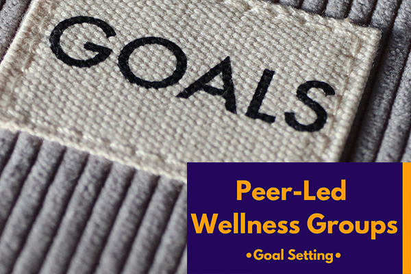 Peer-Led Wellness Groups - Goal Setting