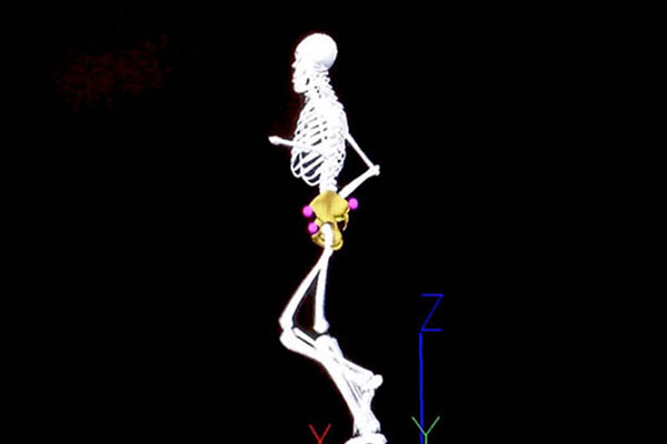 Mo Cap Skeleton video